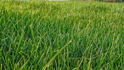 Facebook grubu büyütme ve topluluk oluşturma rehberi