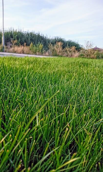 Facebook grubu büyütme ve topluluk oluşturma rehberi