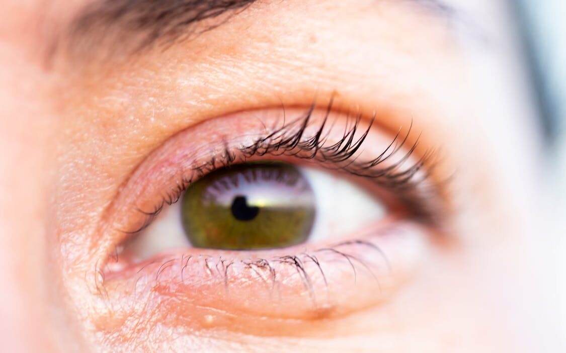 X Twitter reklam kampanya oluşturma ve yönetim rehberi