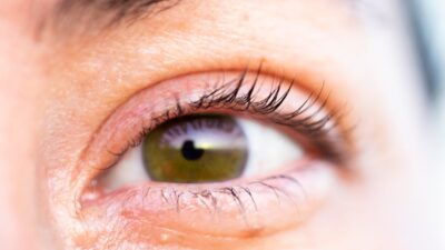 X Twitter reklam kampanya oluşturma ve yönetim rehberi